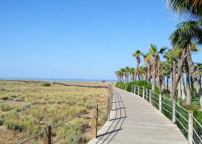 Salgados 6a * 알부페이라